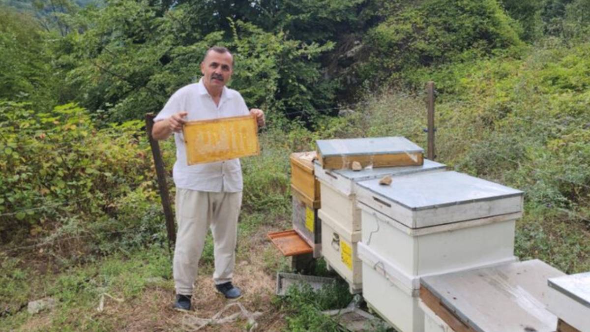 gfgfgf-2023-08-04t003726-491