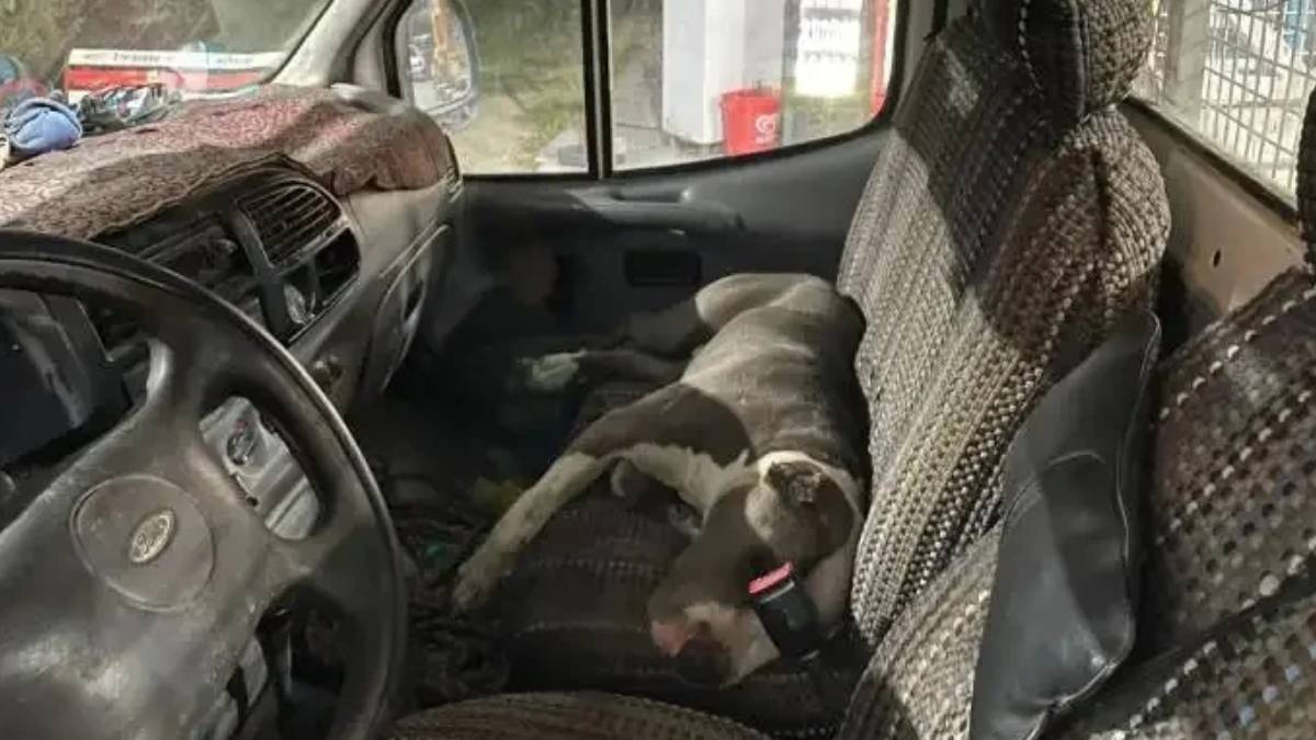 gfgfgf-2023-08-04t011024-784