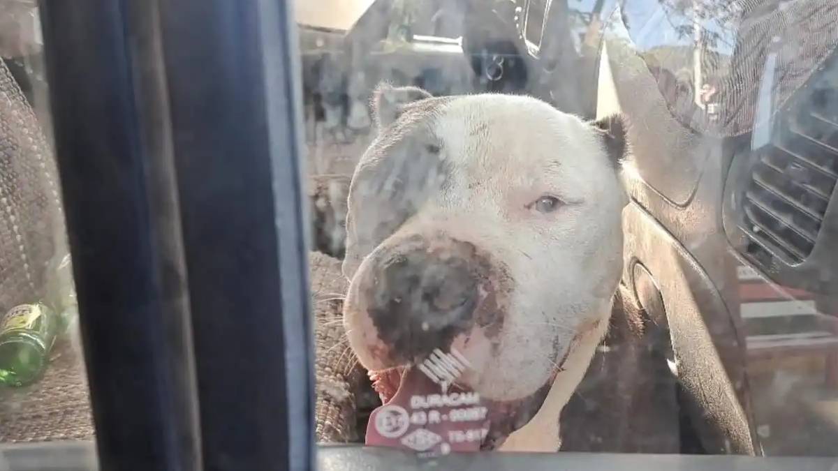 gfgfgf-2023-08-04t011036-241