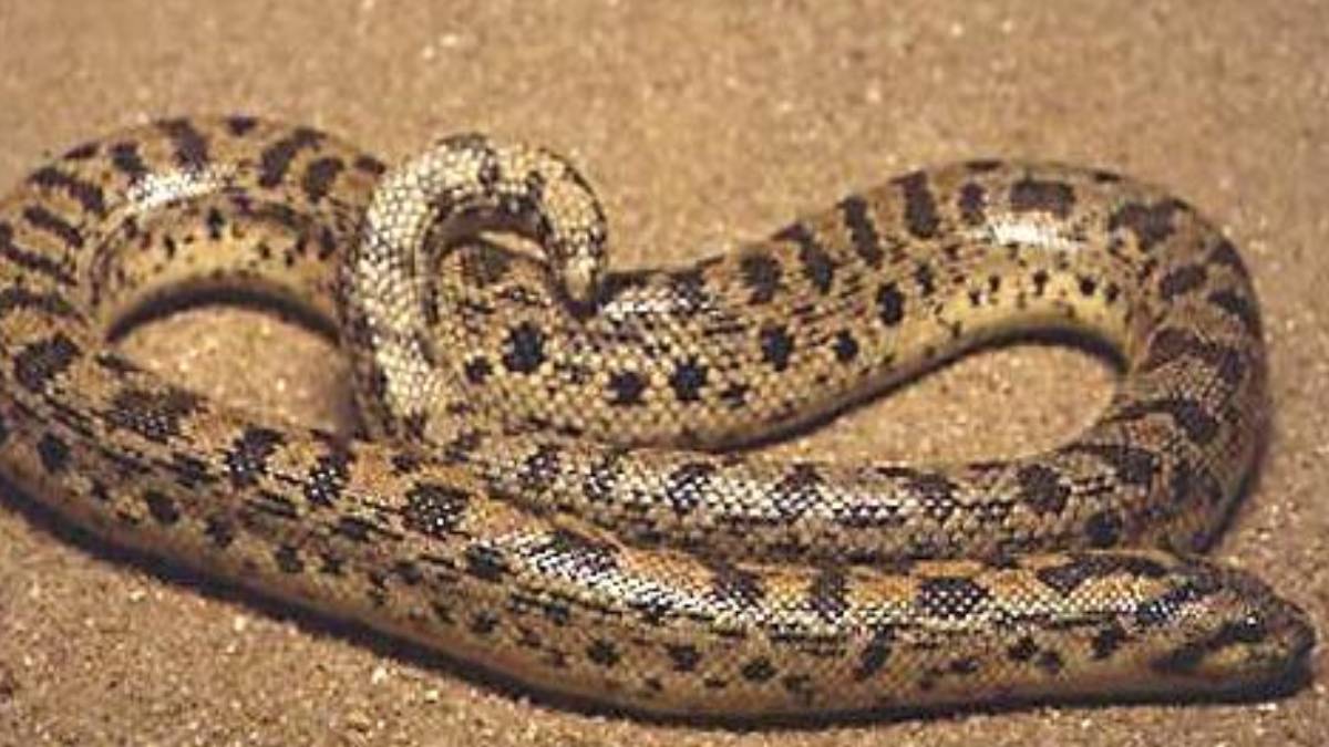 ghghgh-2023-08-04t130345-582