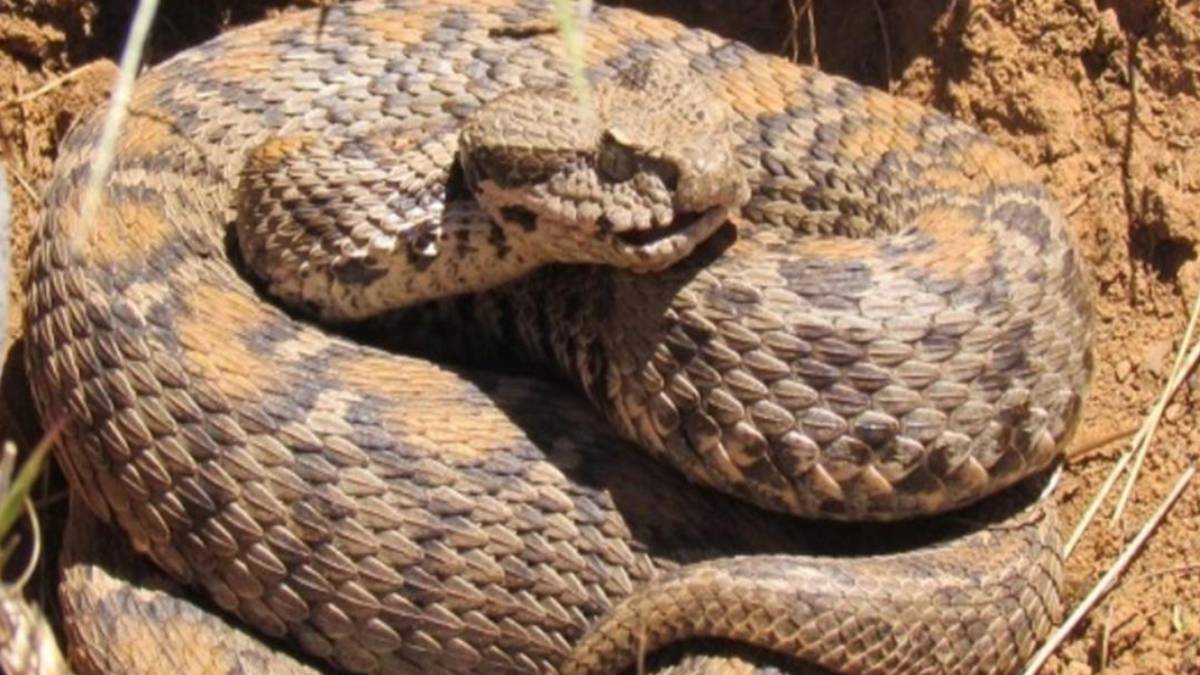 ghhggh-2023-08-04t130320-627