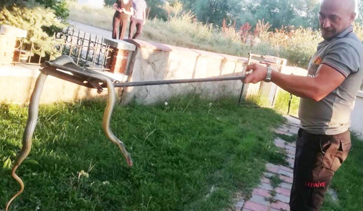 aracin-motoruna-2-metrelik-yilan-girdi