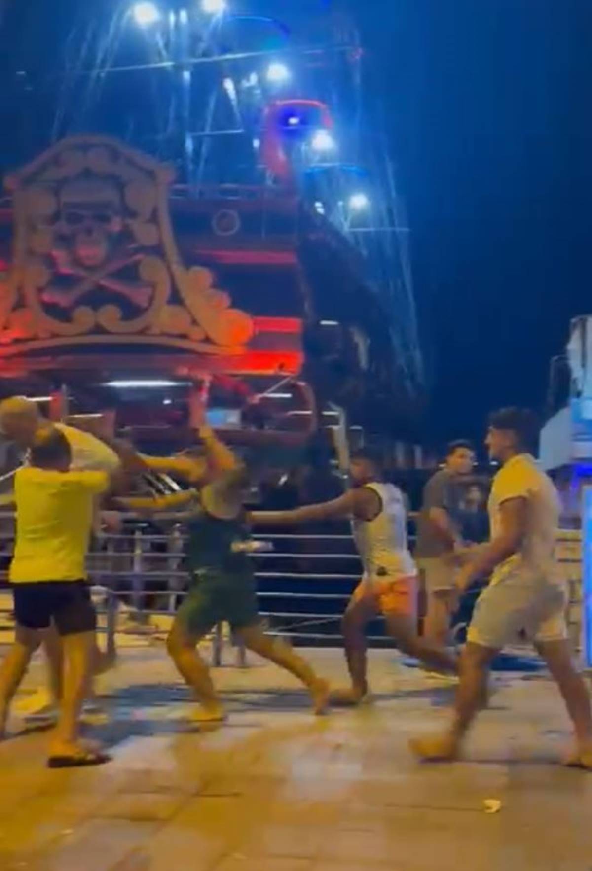 tatile-gelen-gurbetciyi-dovduler-4