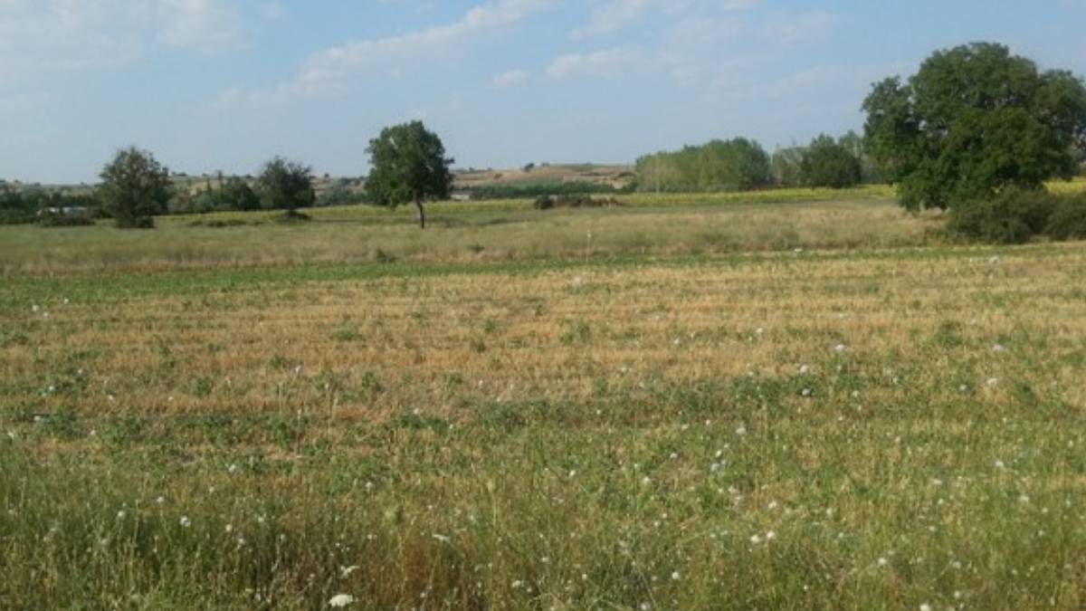 hgghgh-2023-08-06t115727-682