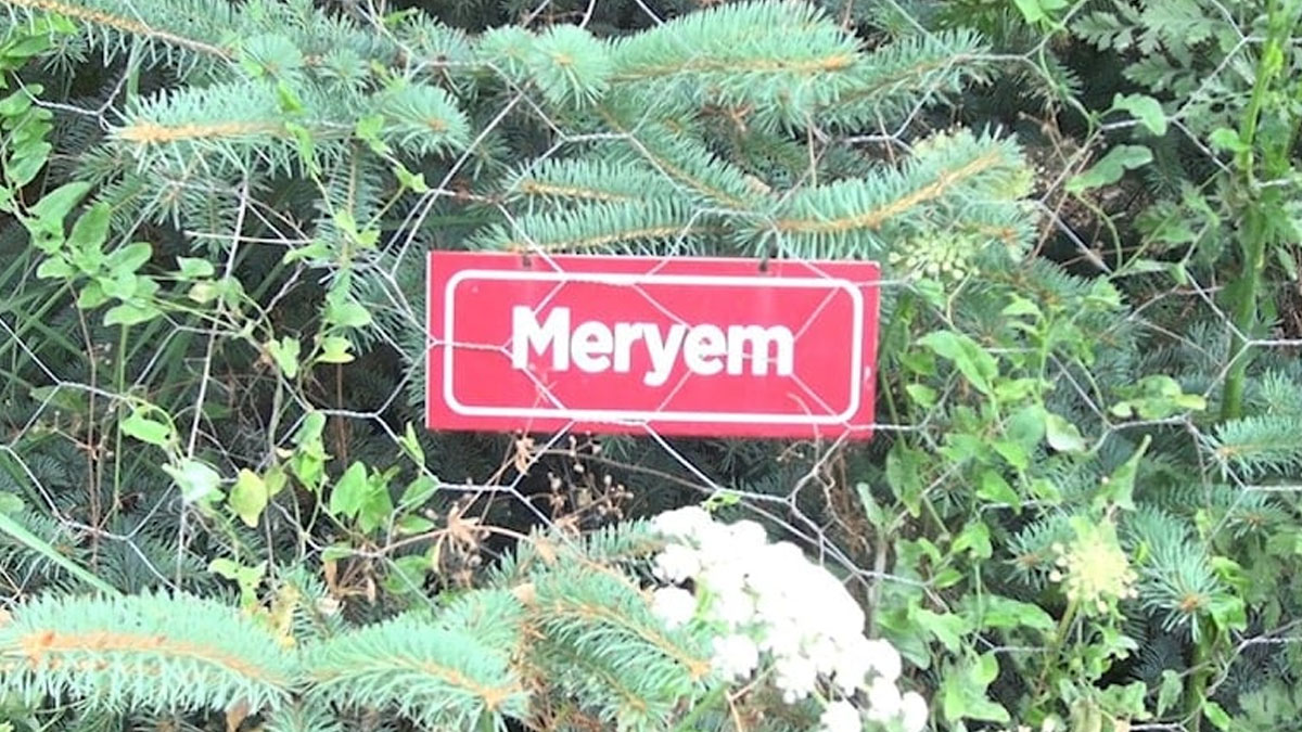 meryem