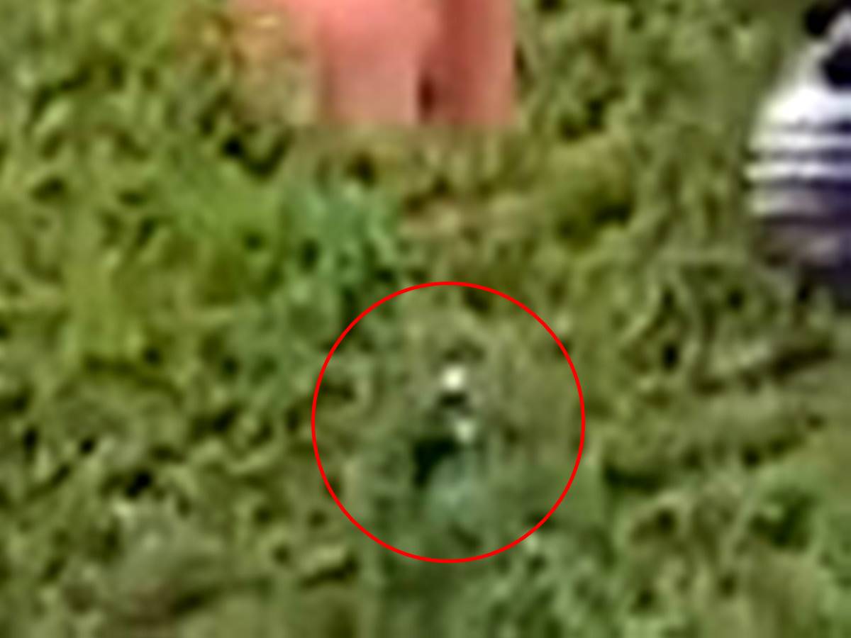 madeni-para-dik-gelme-olasiligi-kactir-5