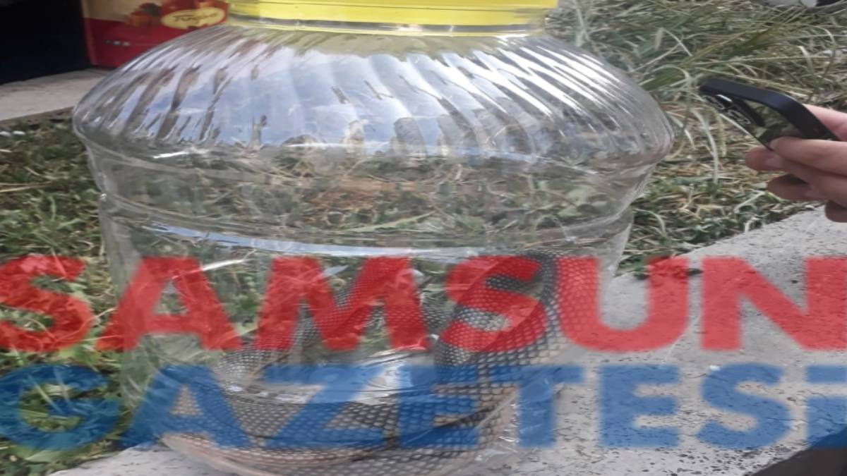 hghggh-2023-08-08t115005-728