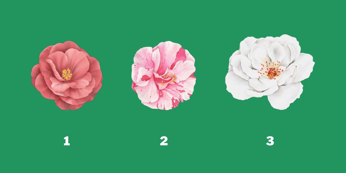 perso-abm-0608-ffzjrr