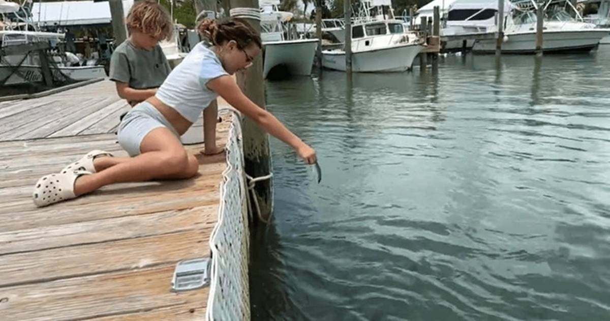 baligi-beslerken-yem-oluyordu-3