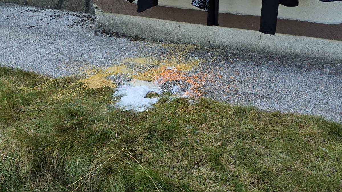 annesini-oldurup-cesedini-parcaladi-6