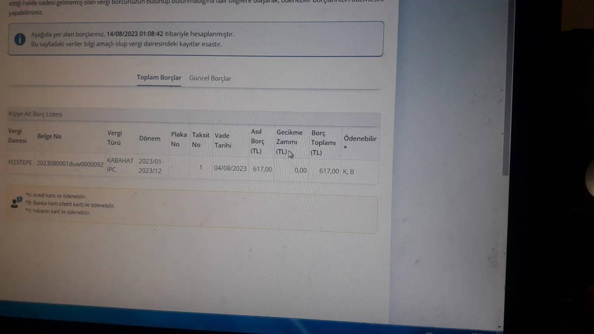 park-cezasi-sorgulama-e-devlet-1