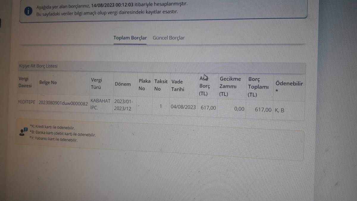 park-cezasi-sorgulama-e-devlet-2