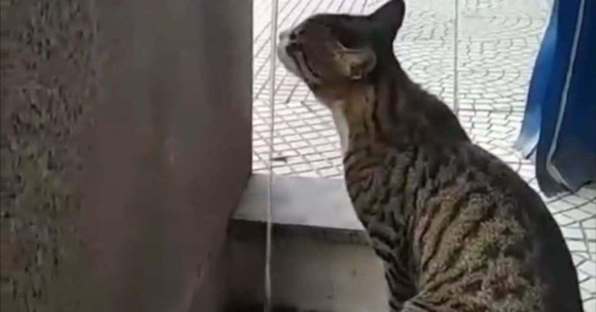 sicak-havada-akilli-telefon-neden-kapanir-4