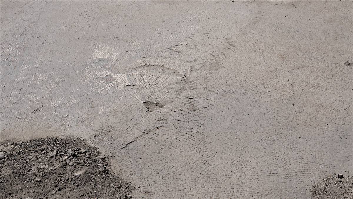 tarladan-roma-donemi-tarihi-eser-cikti-4