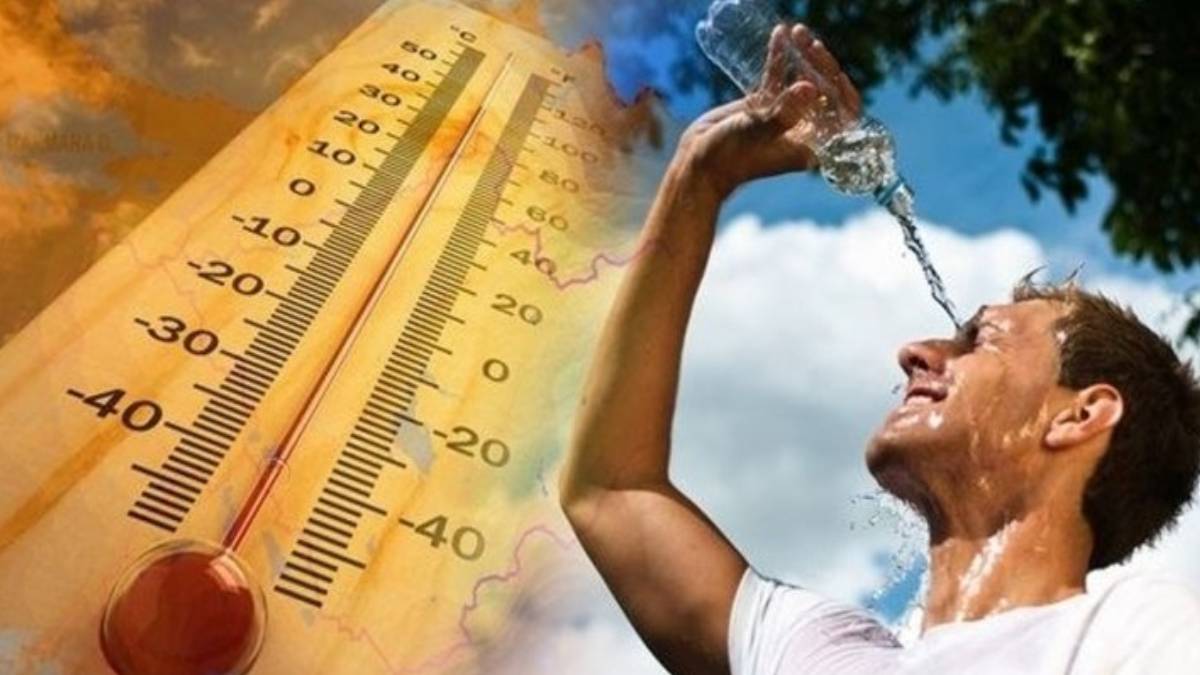 gfgfgf-2023-08-16t094248-538