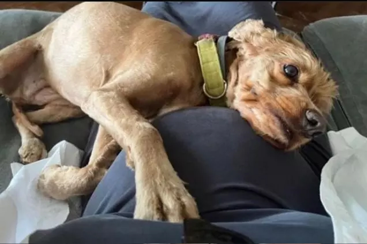 kaan-urgancioglu-esi