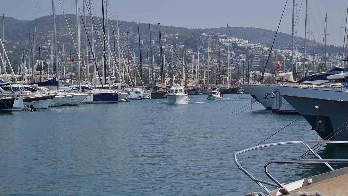 ari-isirmasi-oldurur-mu-2