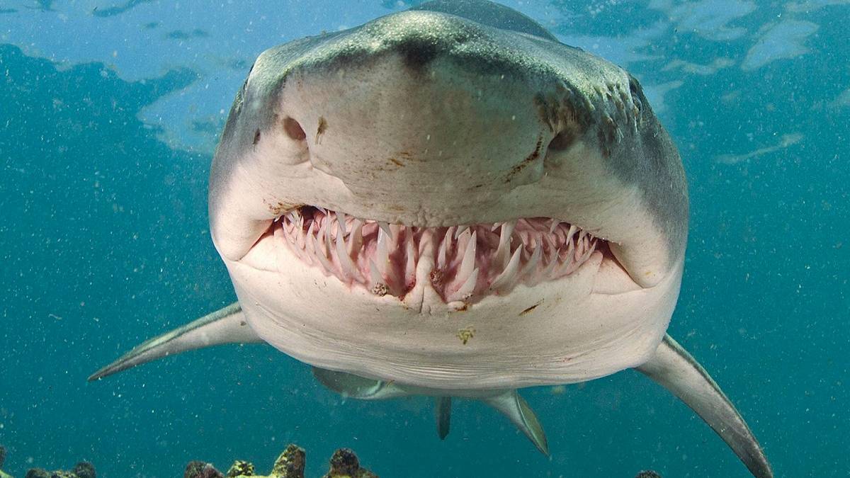 gfgfgf-2023-08-20t140502-496