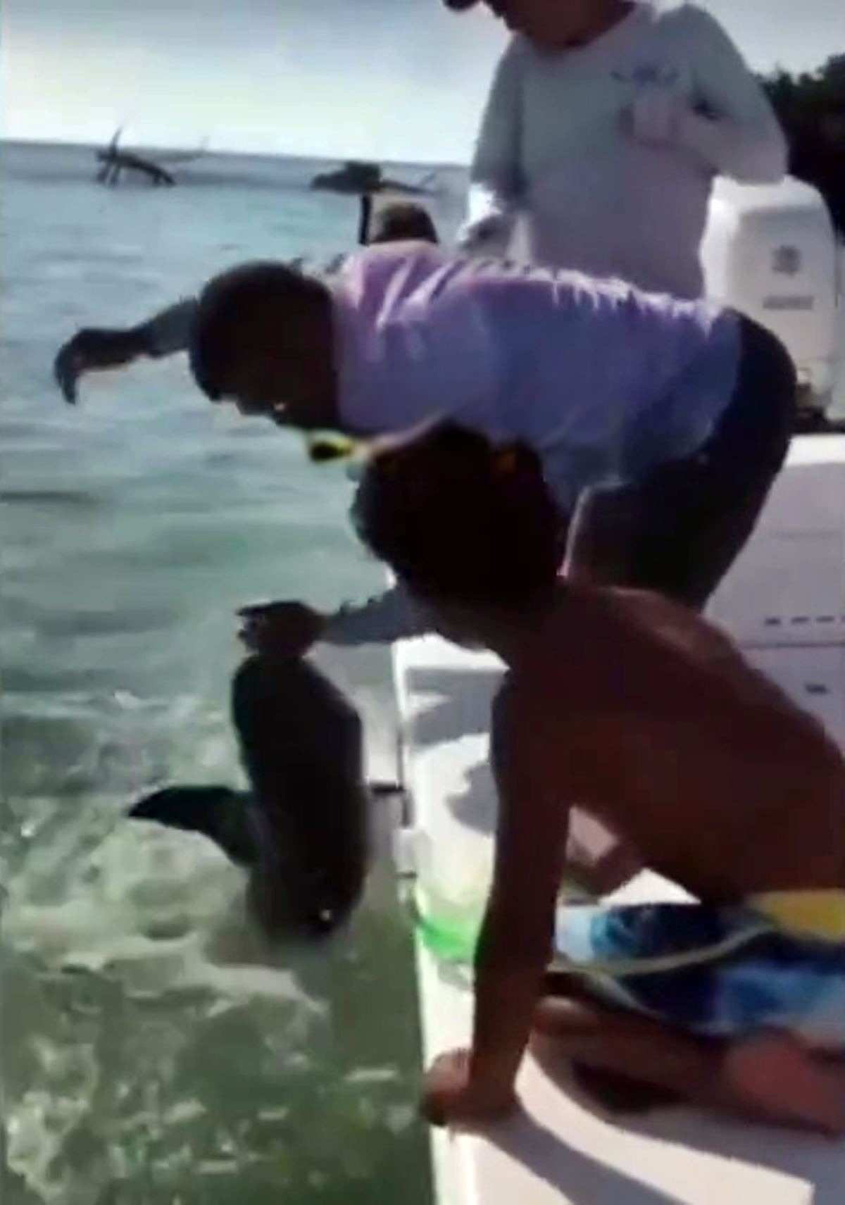 kopek-baligi-adamin-parmagini-kopardi-2