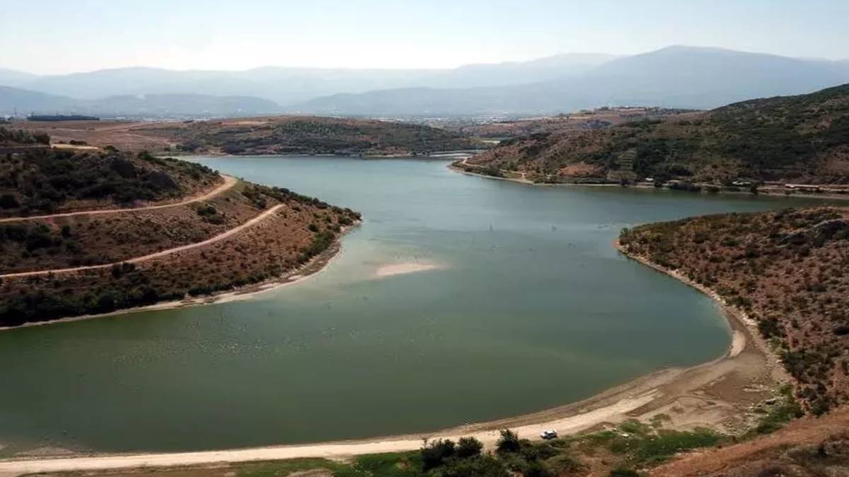 gfgfgf-2023-08-23t140248-336