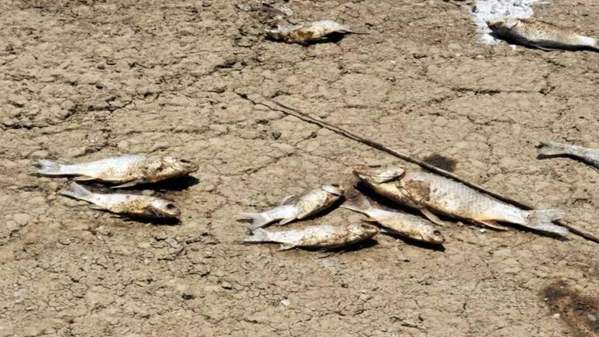 ghhghg-2023-08-23t140303-432