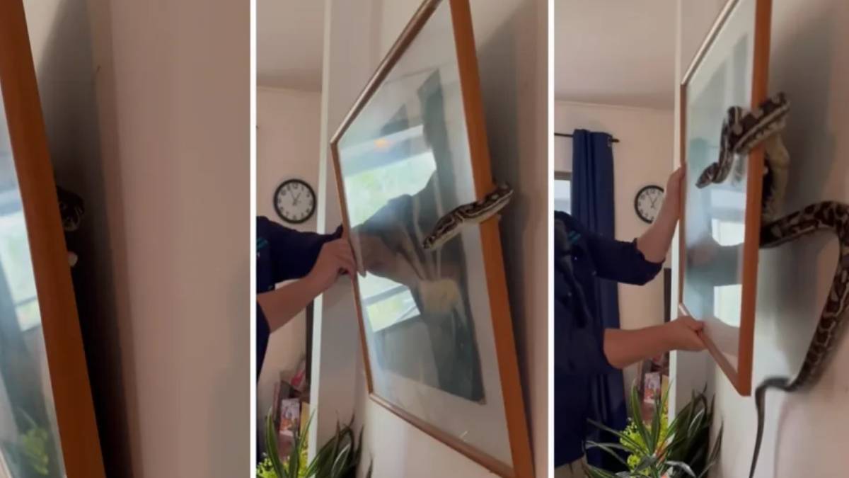 gfgfgf-2023-08-25t105856-790