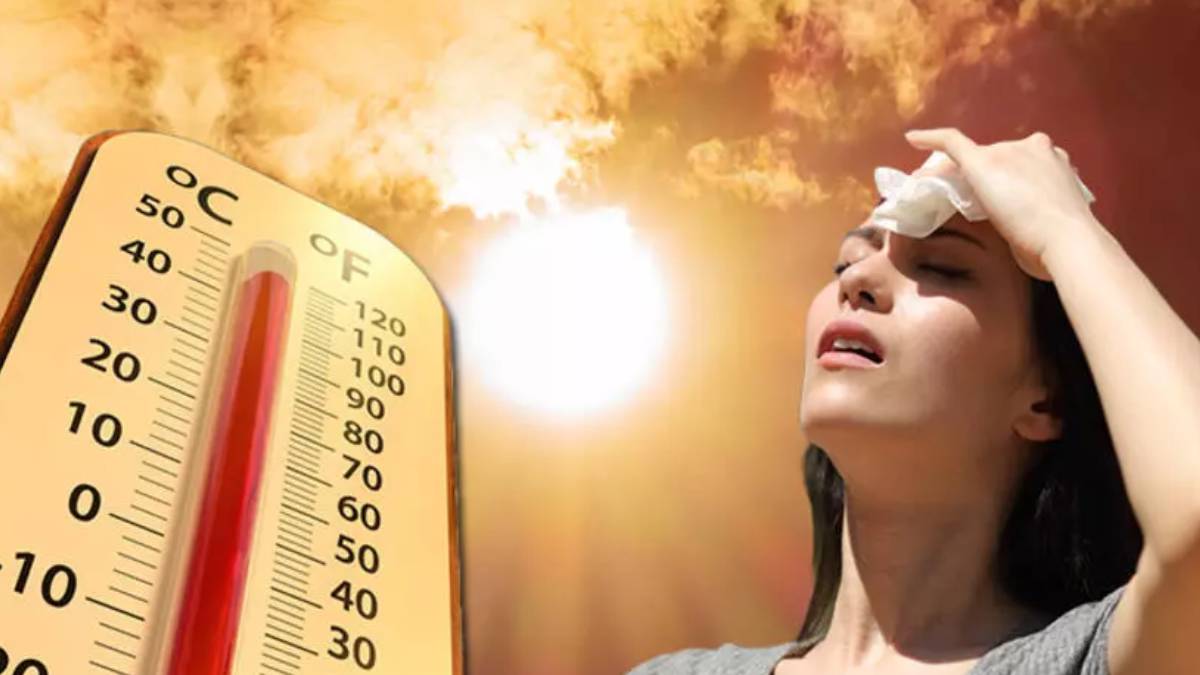 gfgfgf-2023-08-26t122359-281