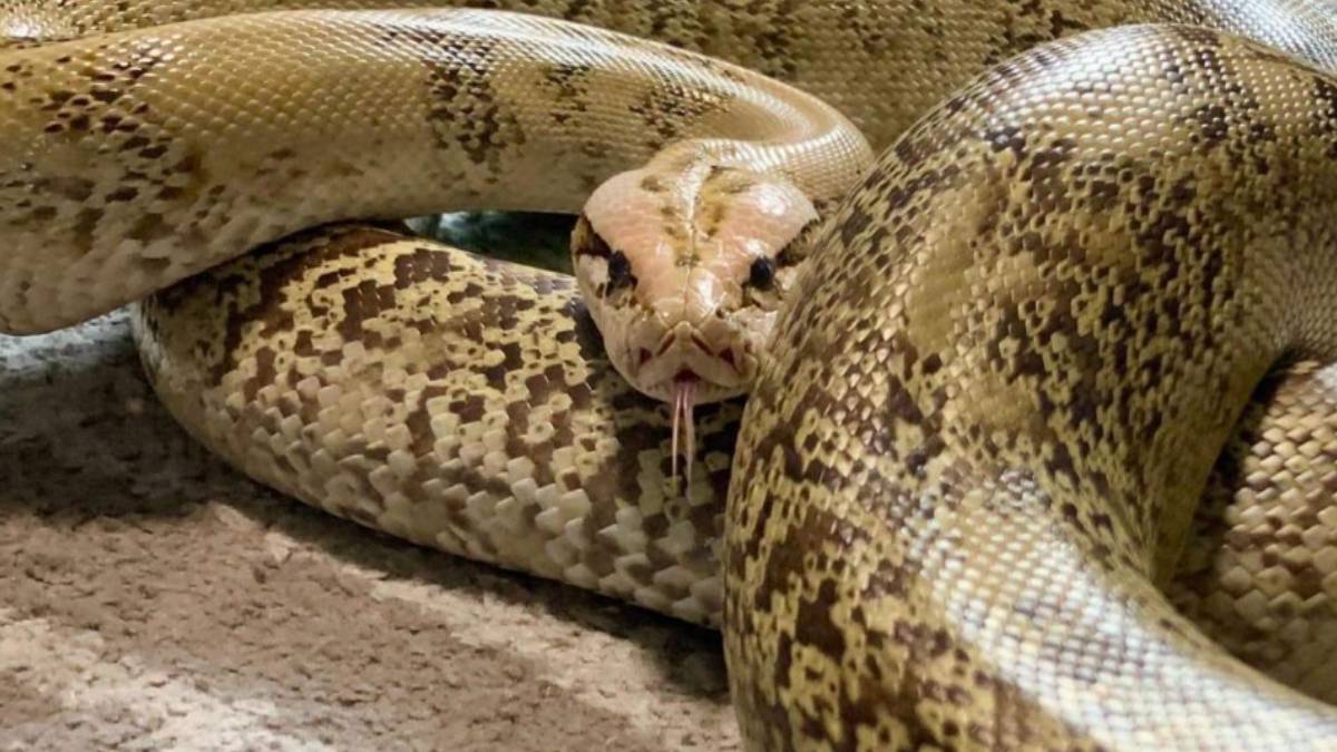 ghhghg-2023-08-26t103519-504