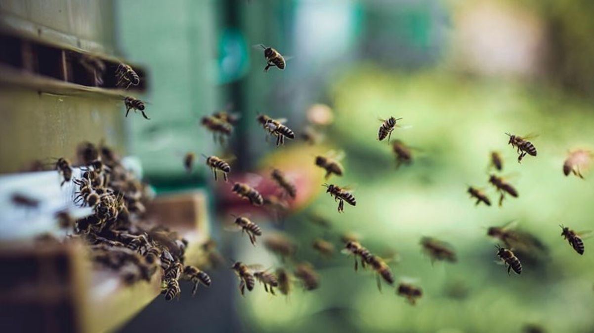 arinin-soktugu-kisi-hayatini-kaybetti-16104796-4012-amp