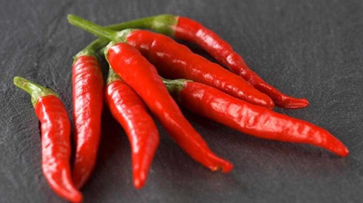 cayenne-arnavut-biberin-sagliga-etkileyici-faydalari-ve-tarihi-8164f0