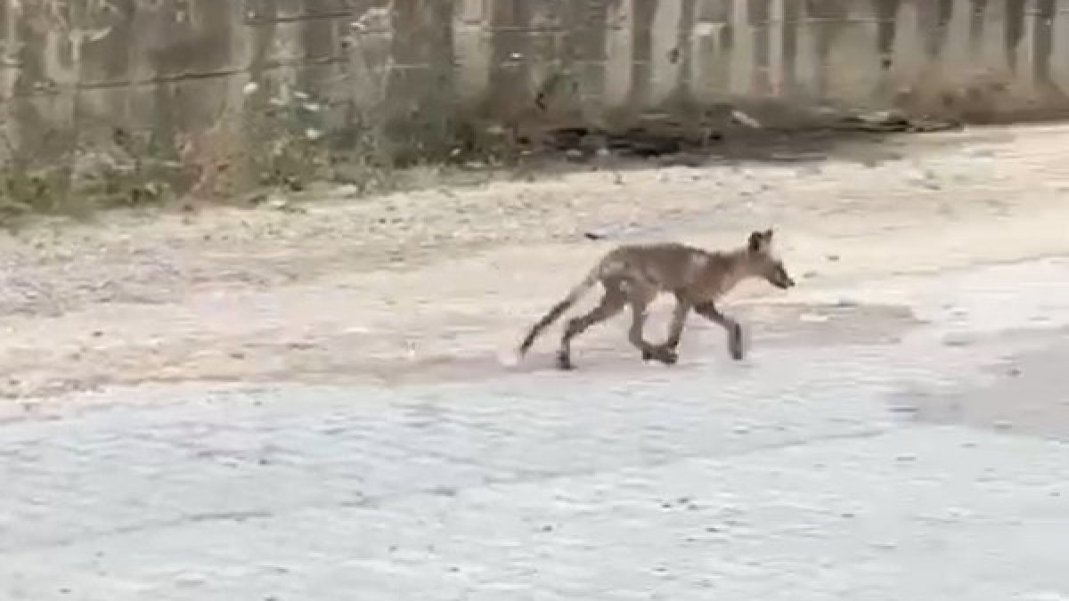 20230828aw017782-0-002