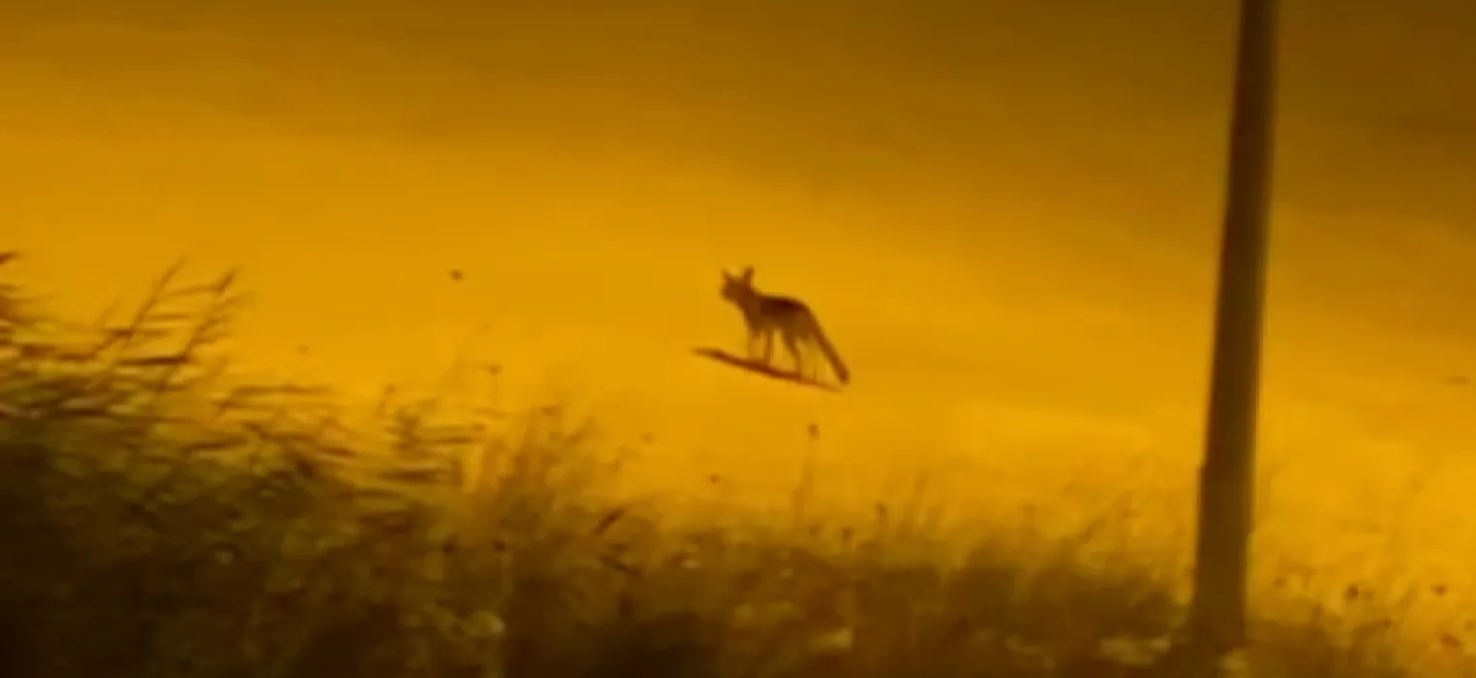 opera-anlik-goruntu-2023-08-30-214449-i-haberglobal-com-tr-001