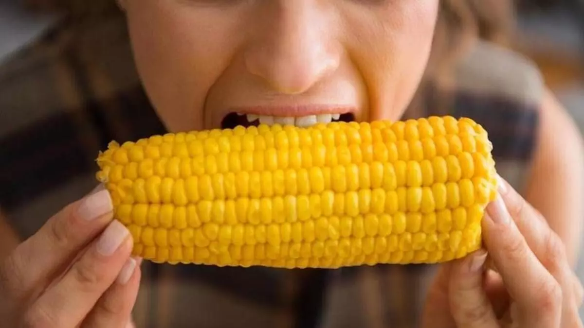 5efcffd945d2a04258b691a0