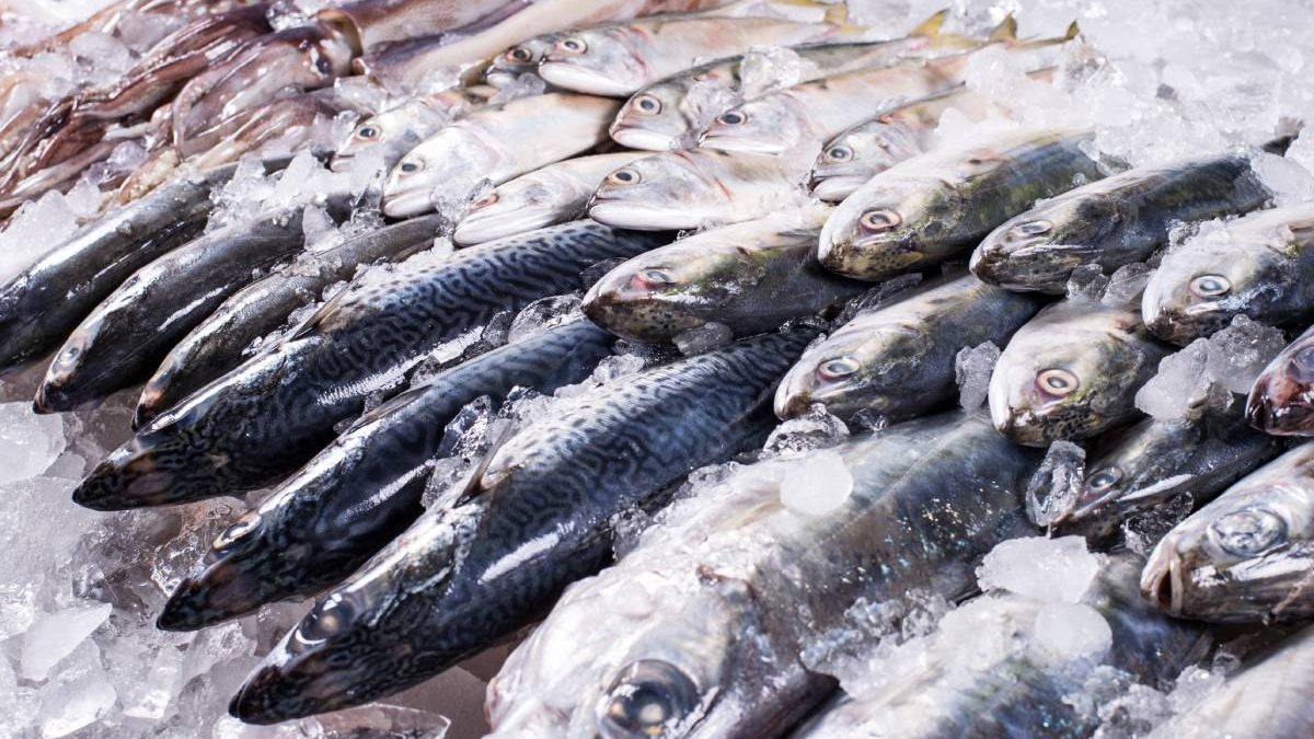 mezgit-baligi-nasil-temizlenir-1200x675