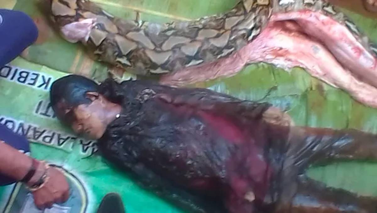 piton-yilani-kadini-yedi-1