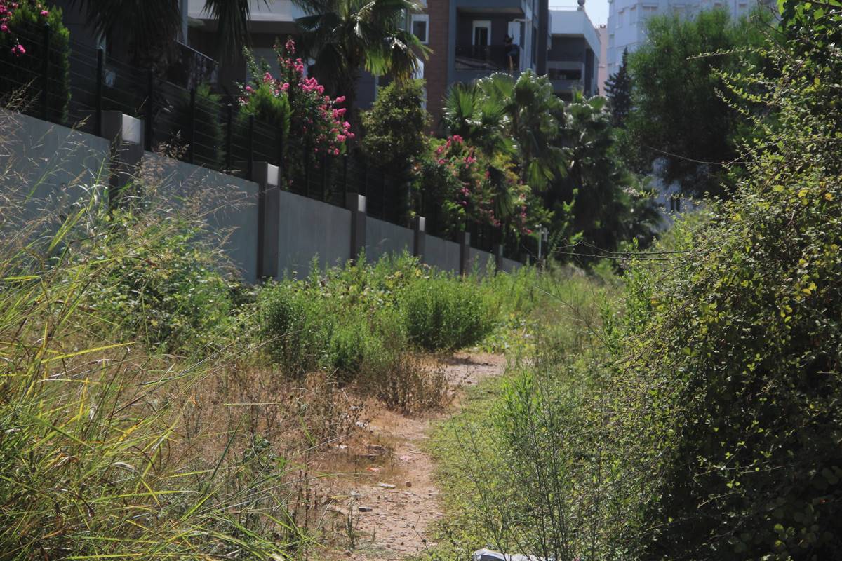 yaban-domuzlari-insanlara-saldirir-mi-zarar-verir-mi-7