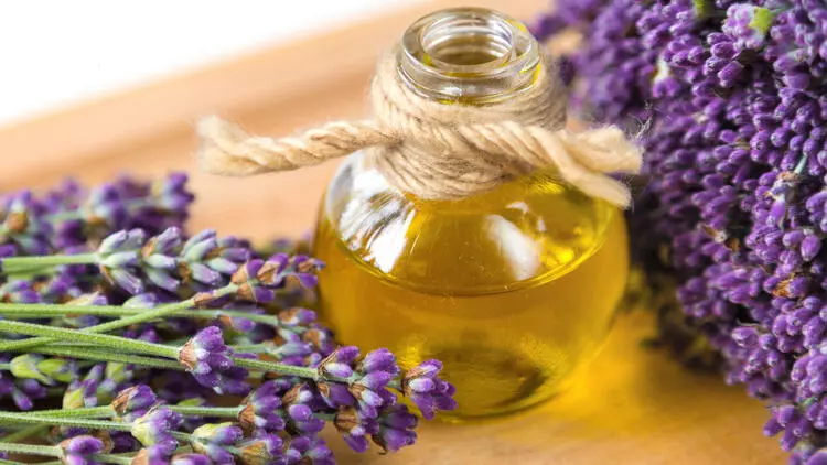 600961f5c9de3d4b8429a1f5