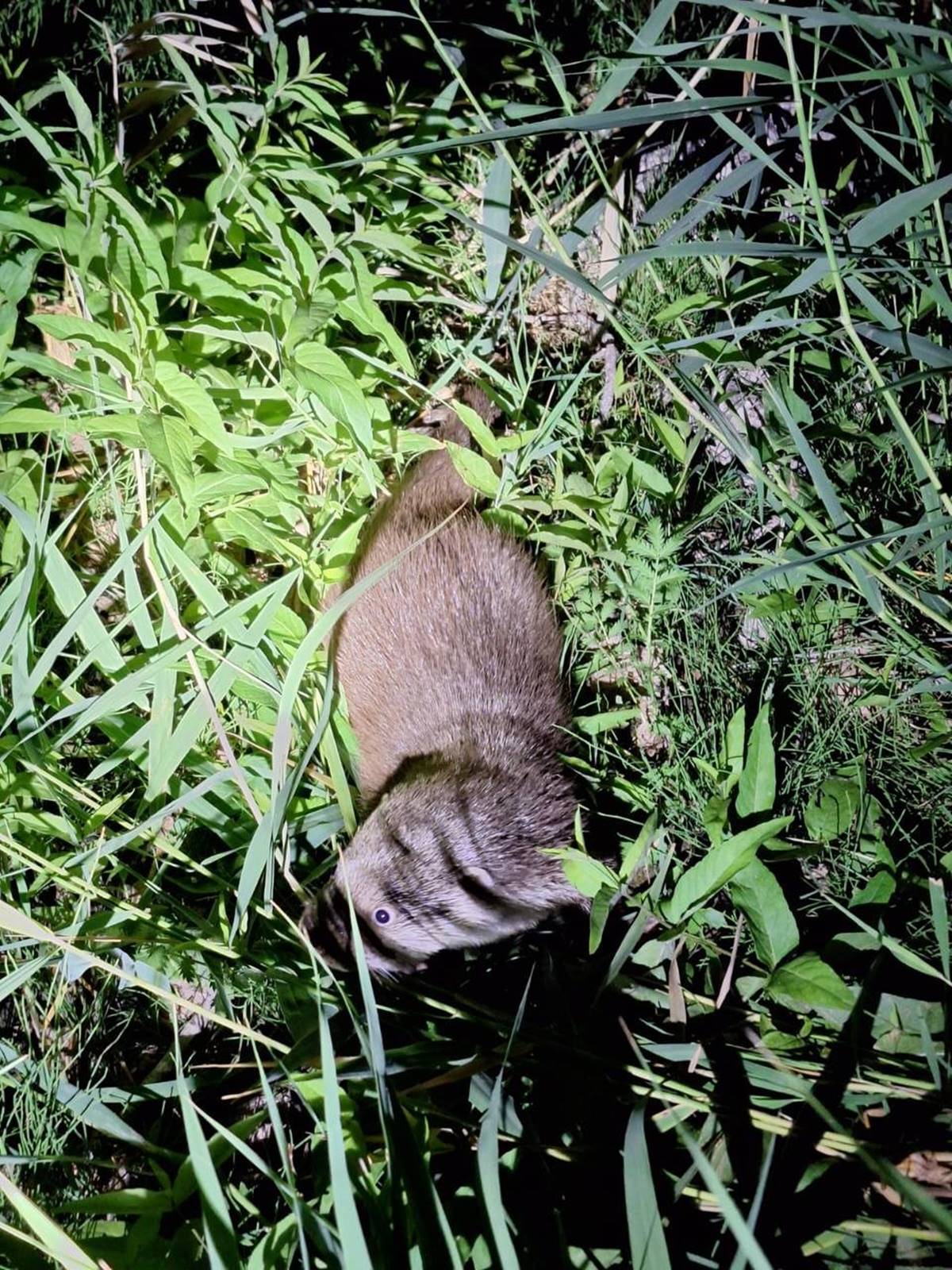 bayburtta-su-iti-goruldu-1