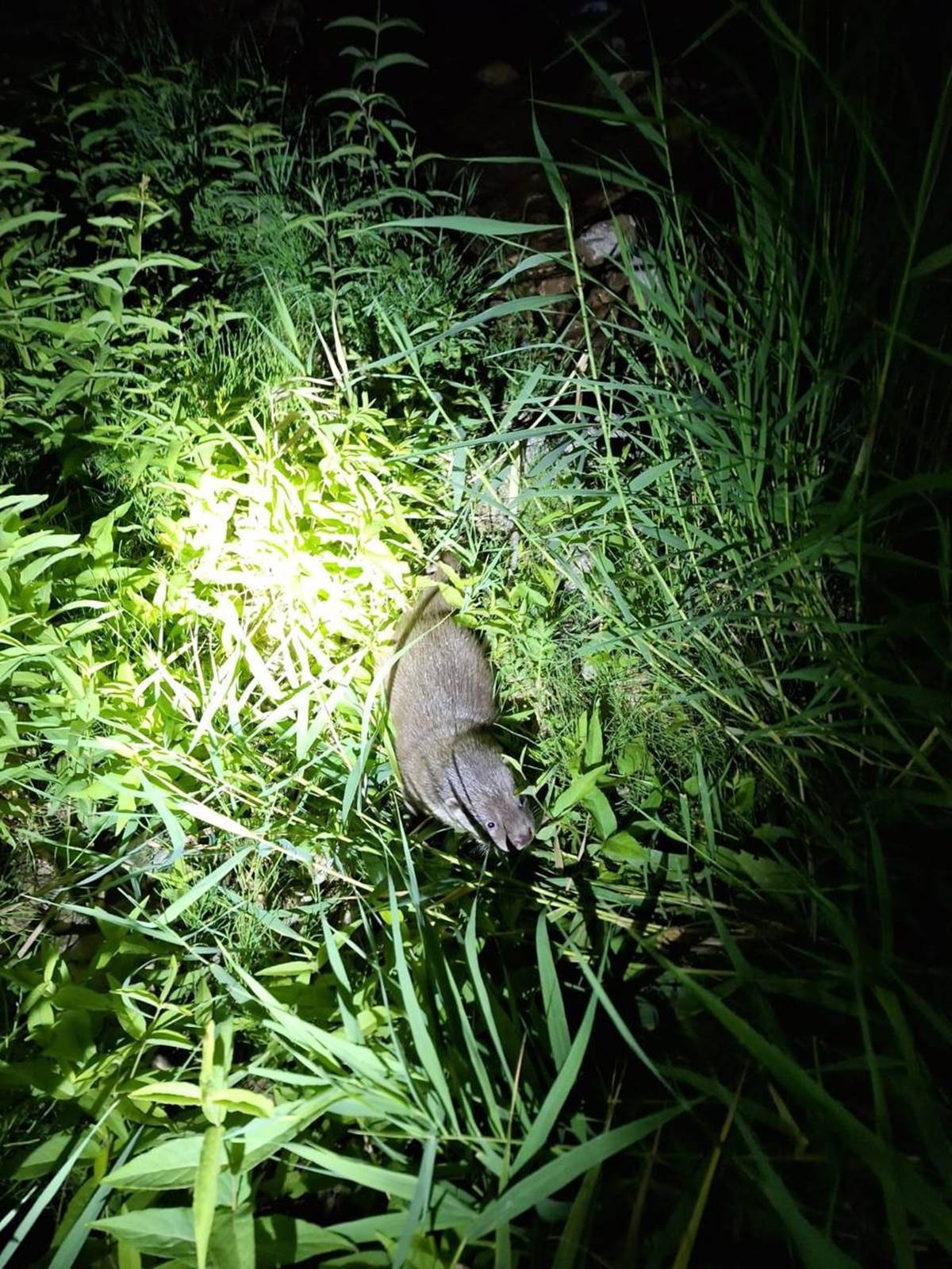 bayburtta-su-iti-goruldu-2