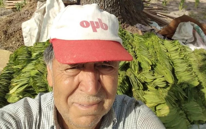 ec262a8a-afb1-459d-a96d-7bca73089f25