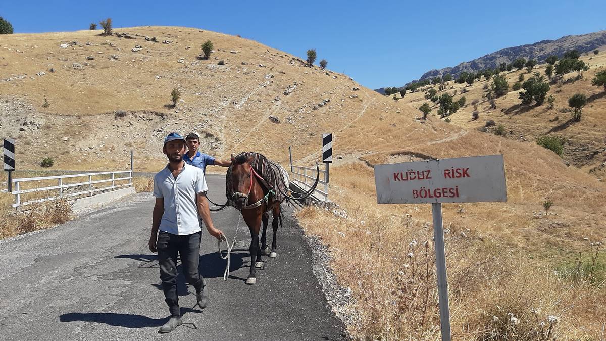 adiyamanda-kuduz-karantinasi-3