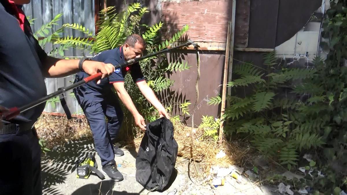 avcilarda-binanin-bahcesindeki-yilani-itfaiye-ekipleri-yakaladi-7