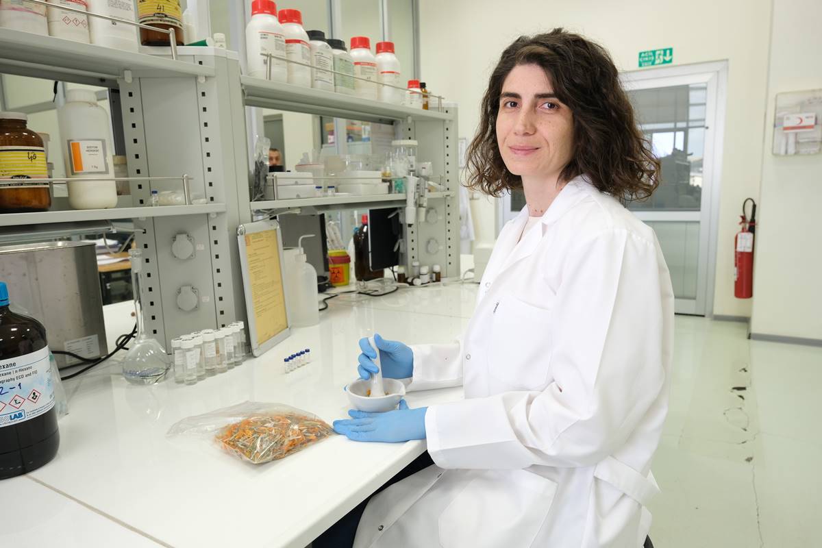 cigdem-cicegi-nedir-faydalari-neler3