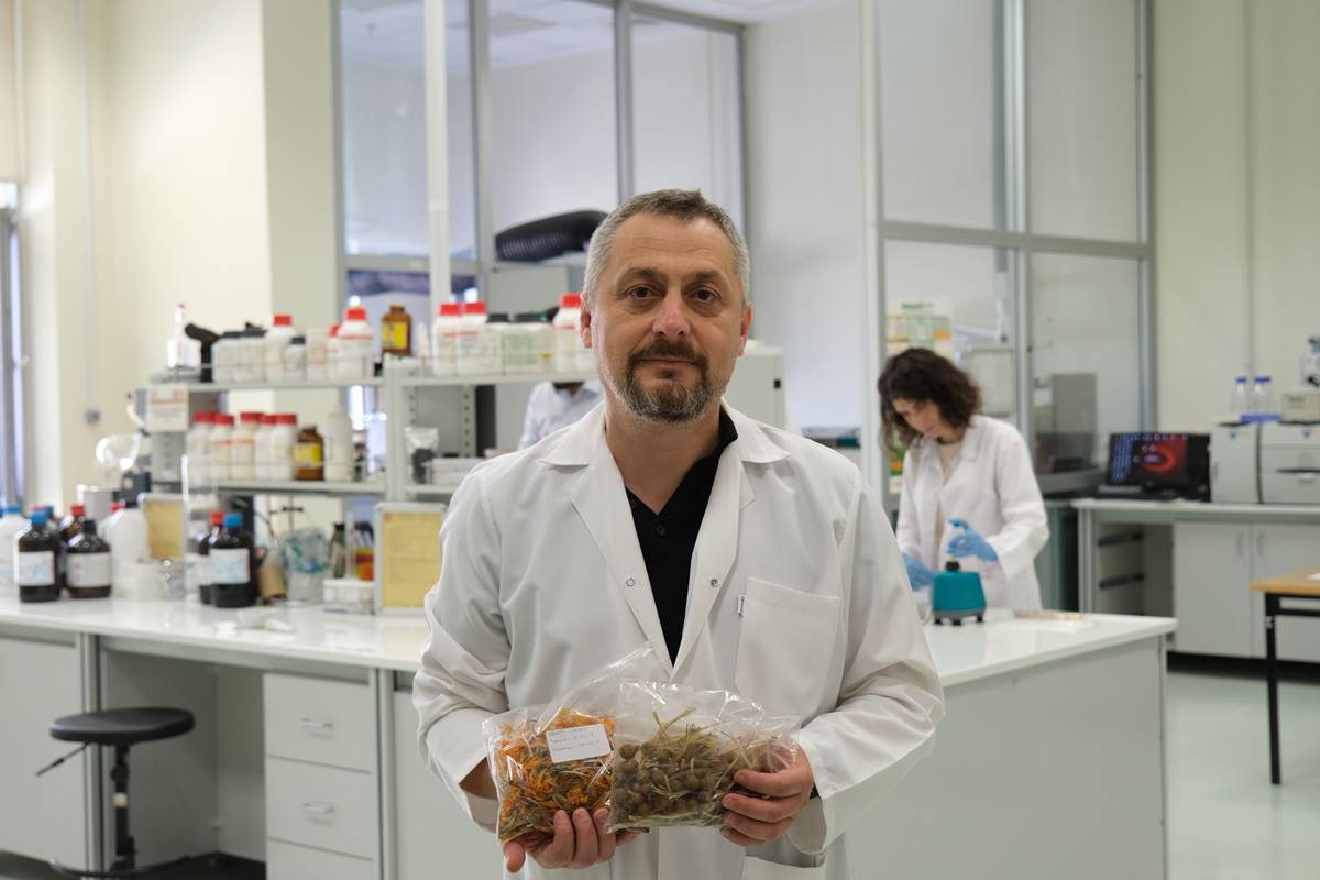 cigdem-cicegi-nedir-faydalari-neler5