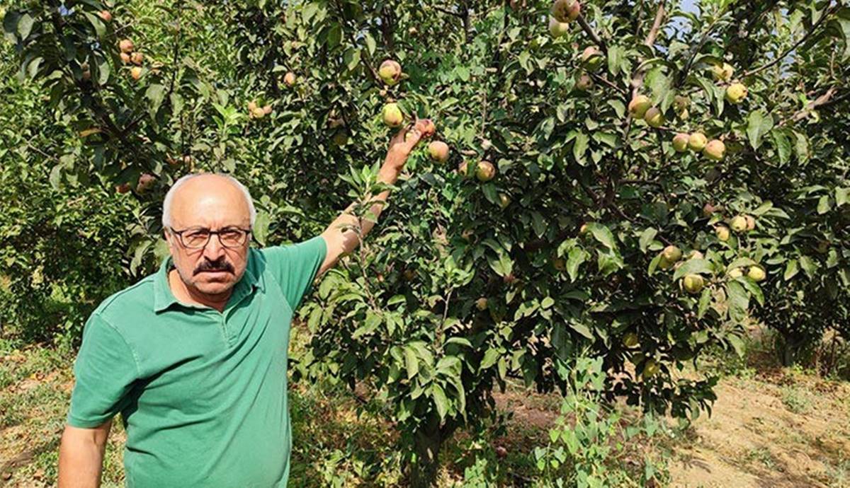 civril-elma-kara-leke-sorunu-2