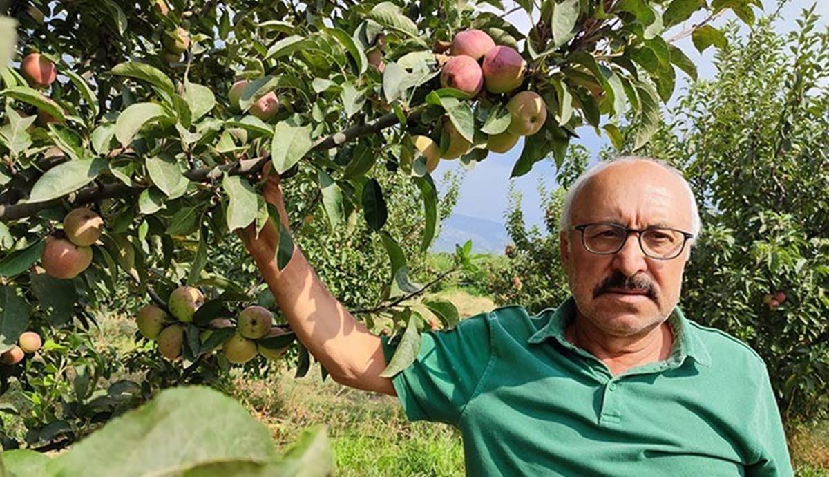 civril-elma-kara-leke-sorunu-3