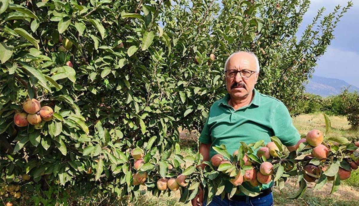 civril-elma-kara-leke-sorunu-4