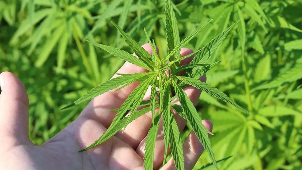 5f7f11f5c9de3d1ee8042ccf