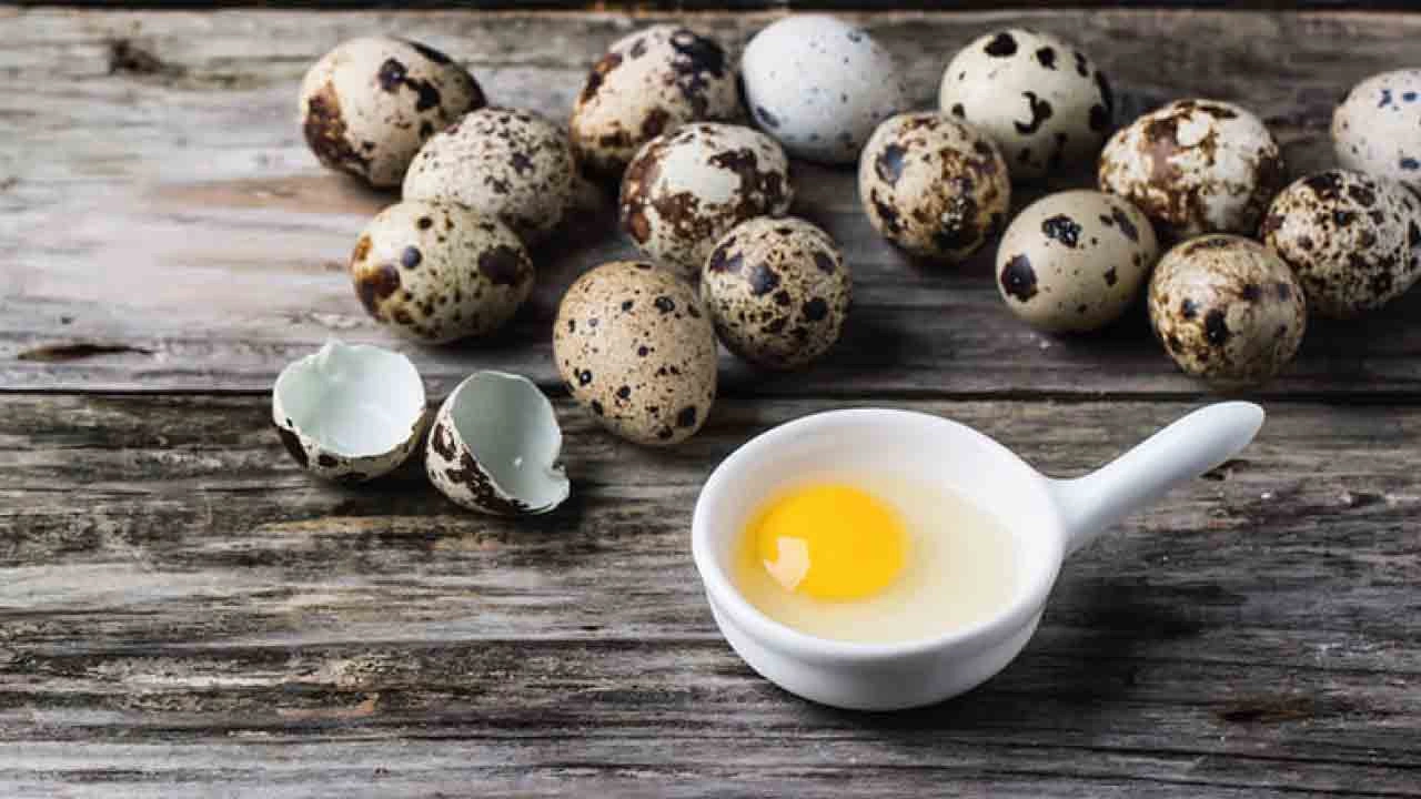 Сколько съедать перепелиных. Яйцо перепелиное. Перепелиные яйца сырые. Перепелиные яйца для потенции. Перепелиные яйца фото.