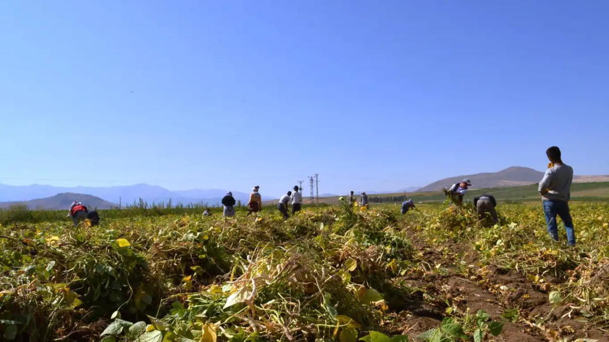 ciftci-e1694762771735-1200x675